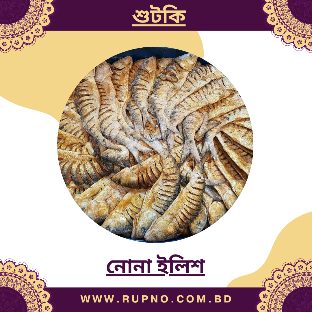 নোনা ইলিশ/Nona Ilish