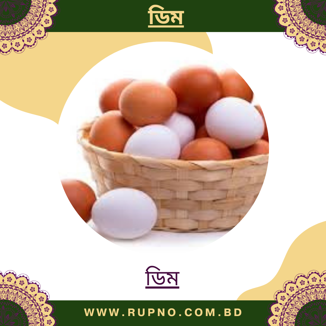 ডিম/Egg